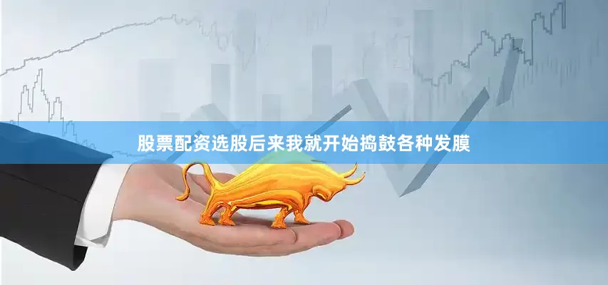 股票配资选股后来我就开始捣鼓各种发膜