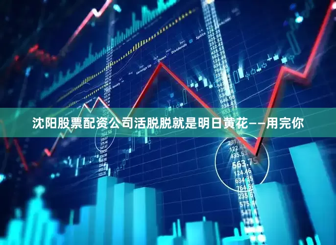 沈阳股票配资公司活脱脱就是明日黄花——用完你