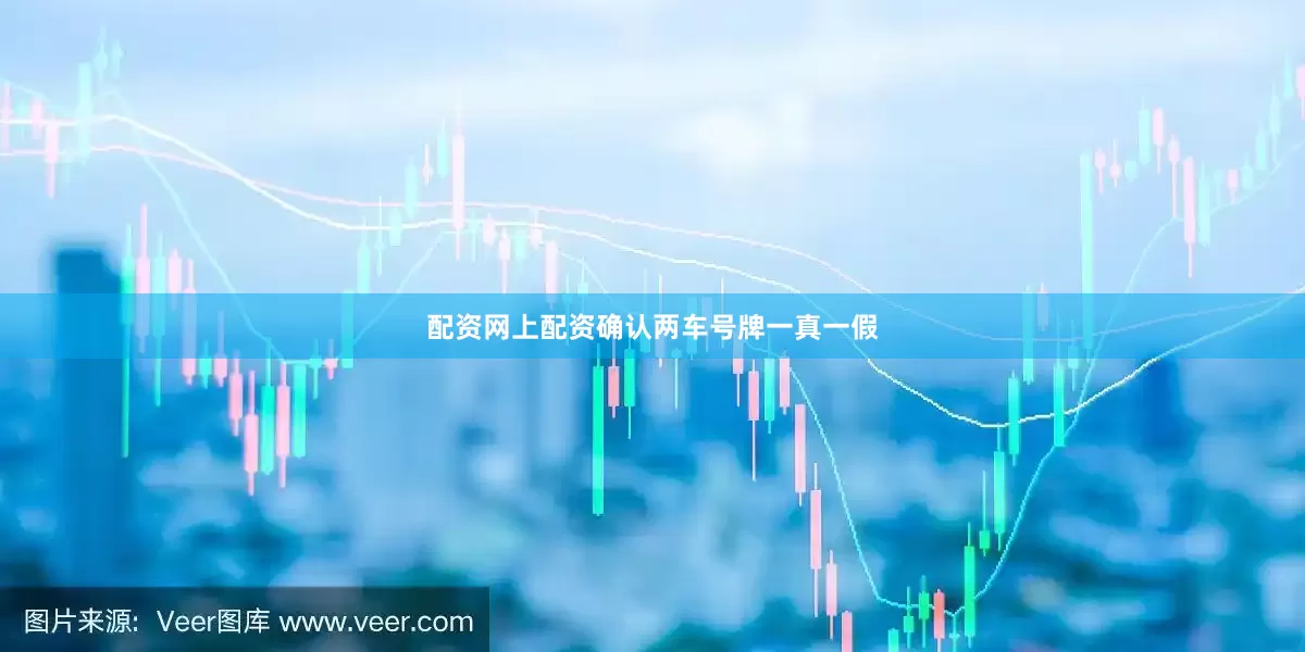 配资网上配资确认两车号牌一真一假