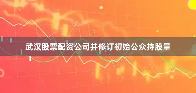 武汉股票配资公司并修订初始公众持股量