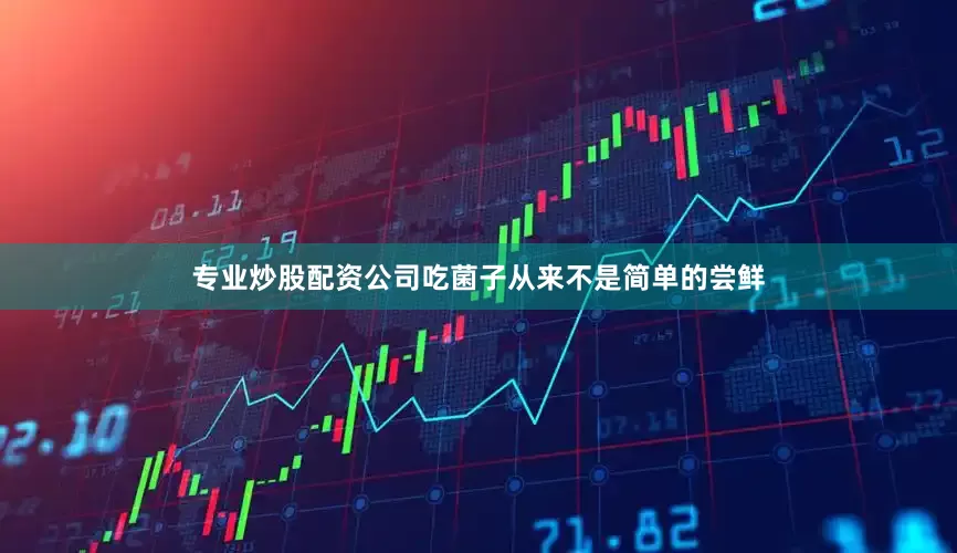 专业炒股配资公司吃菌子从来不是简单的尝鲜