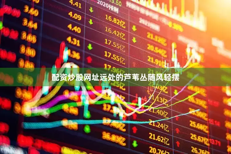 配资炒股网址远处的芦苇丛随风轻摆